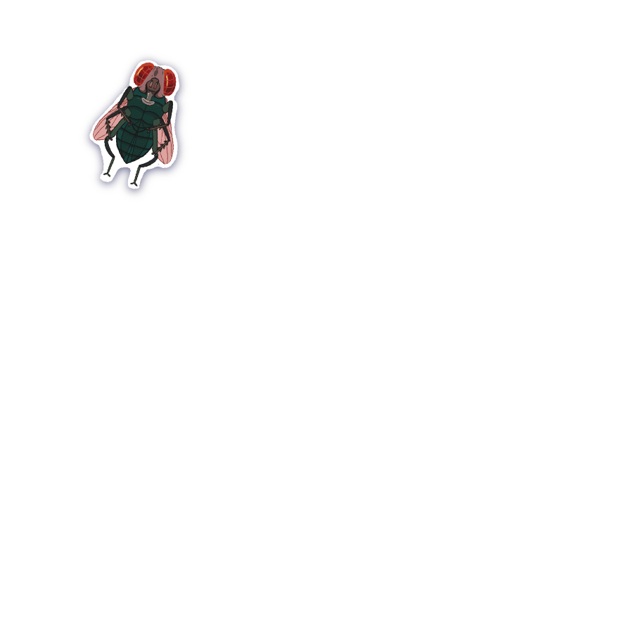 Character from Fly Animation Entomopthora Muscae